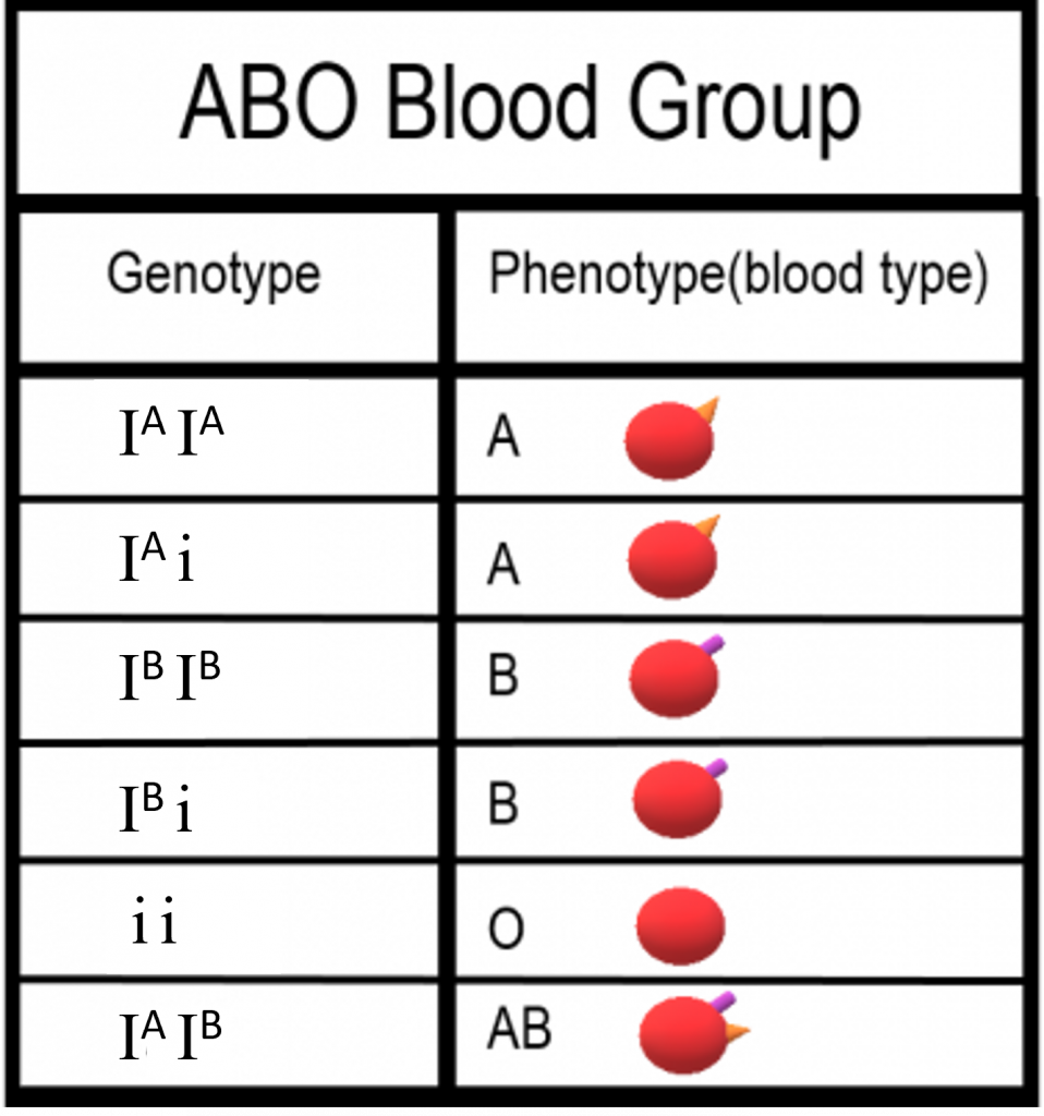 5.14 NonMendelian Inheritance Human Biology CapilanoU