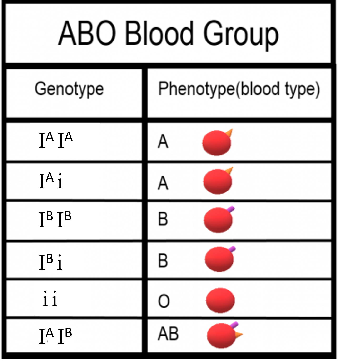 5.14 Non-Mendelian Inheritance – Human Biology – CapilanoU