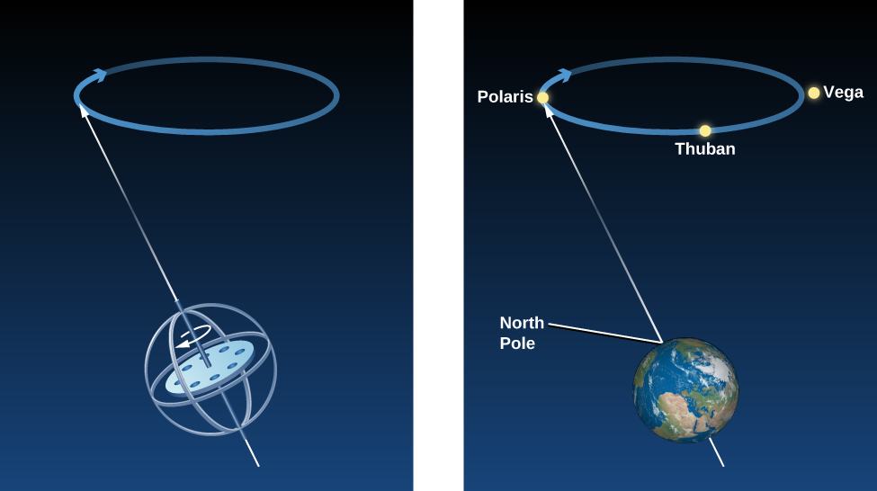 The concept of precession. The left hand panel in this illustration shows a spinning top, with a circular arrow drawn counterclockwise around the axis of spin. Another arrow is shown pointing upward through the axis of spin and makes contact with a blue circular arrow drawn at the top of the figure. The blue circular arrow points clockwise and represents the path the spin axis traces as the top rotates. The right hand panel illustrates this situation as it applies to Earth. An arrow is drawn upward through the spin axis of the Earth emerging from the surface at the north pole, and points to the star Polaris. Polaris lies on a blue circular arrow that points clockwise. Also drawn on the blue circular arrow are the stars Thuban and Vega. The blue circular arrow represents the path the north celestial pole travels over time as Earth spins on its axis.