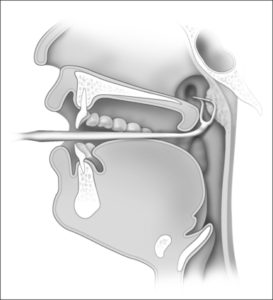 Clinical Conditions – Advanced Anatomy 2nd. Ed.