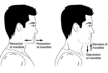 Body Movements – Advanced Anatomy 2nd. Ed.