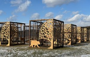 Art installation consisting of several large wooden boxes decorated with a bear and a treeboxes