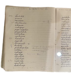 Handwritten list of words in old notebook