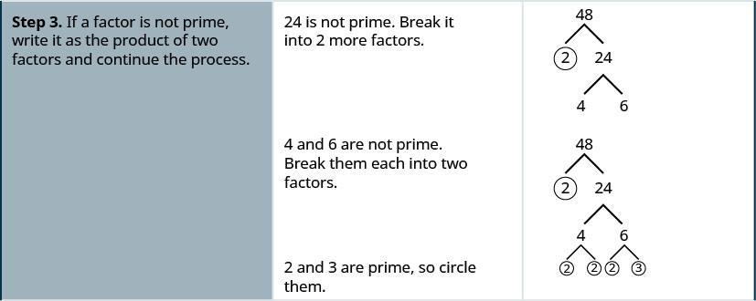 Step 3 is to treat the composite factor as a product, break it into two more factors and continue the process. 24 is not prime. It is broken into 4 and 6. 4 and 6 are not prime. 4 is broken into its factors 2 and 2, both of which are circled. 6 is not prime. It is broken into factors 2 and 3, both of which are circled.