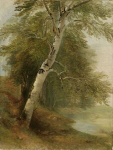 A painting of a birch tree by Asher Brown Durand, c. 1860.