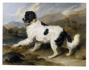 Painting of Lion, a Newfoundland breed of dog, against a mountainous (probably of the highlands of Scotland) landscape. Oil on canvas.