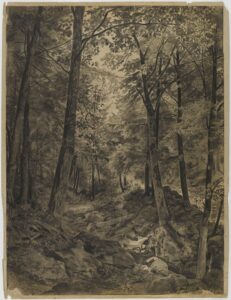 Drawing, Study for "June Woods"; William Trost Richards (American, 1833–1905); USA; charcoal, graphite on paper.