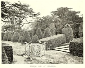 "Clipped Yews at Elvaston," 1900, Ernest Thomas Cook. From "The century book of gardening; a comprehensive work for every lover of the garden." 1900.