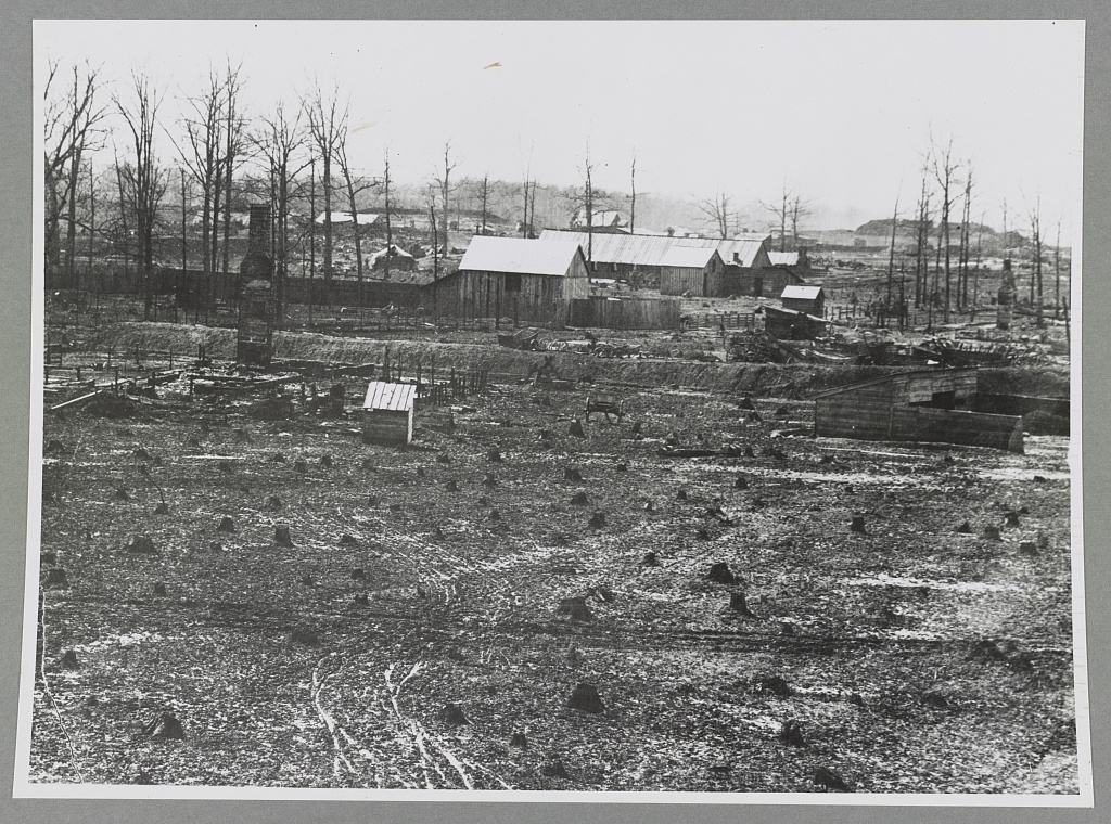 Photograph of the desolate Chickamauga Battlefield, 1861-65