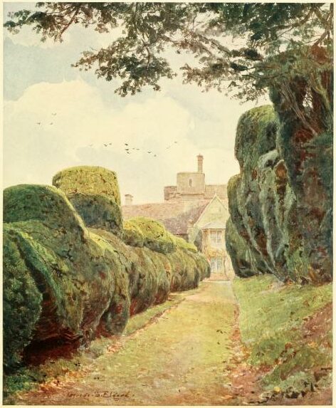 Image of Yew Hedges, English Garden, 1904