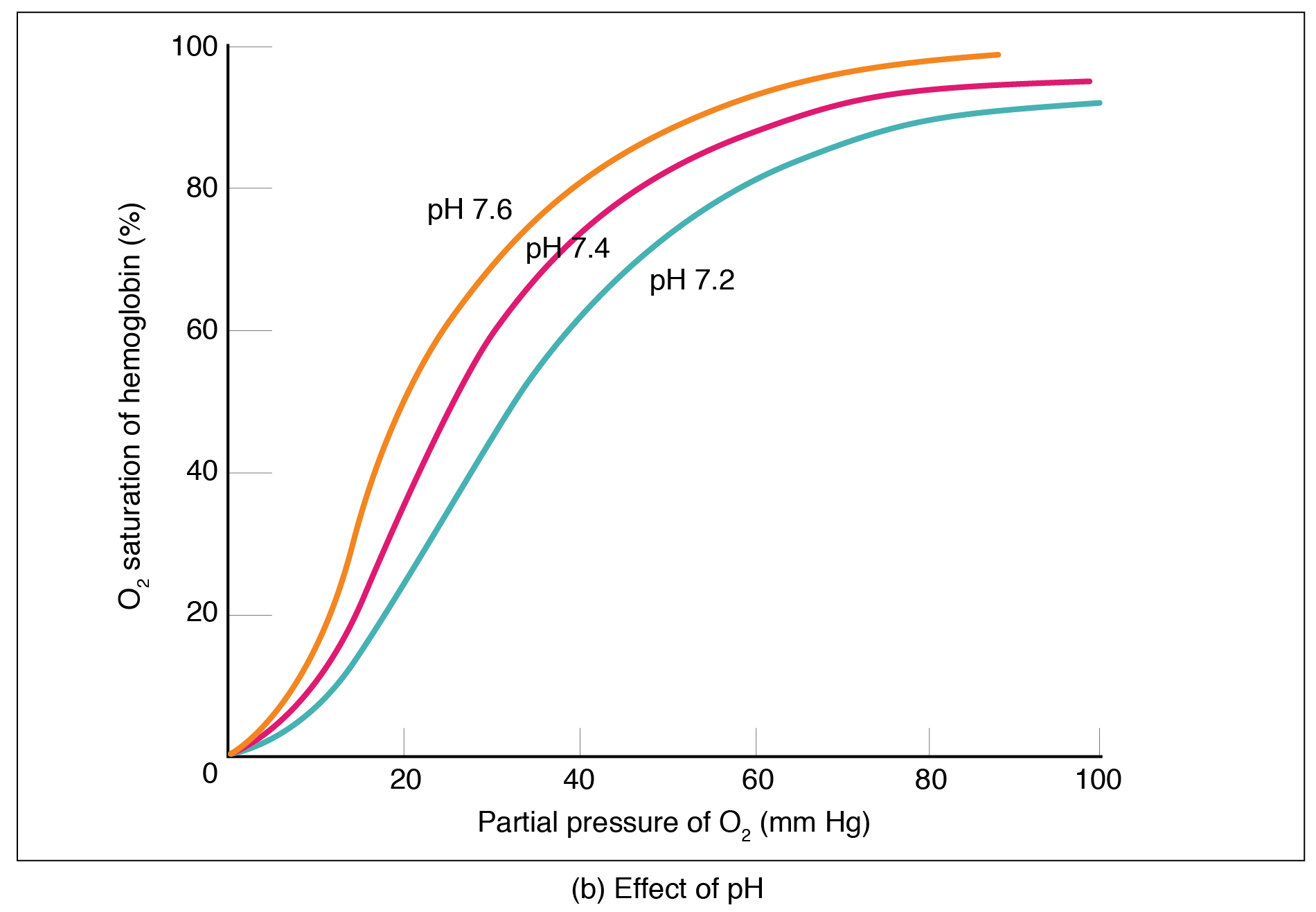 The middle panel shows oxygen saturation versus partial pressure of oxygen as a function of pH.