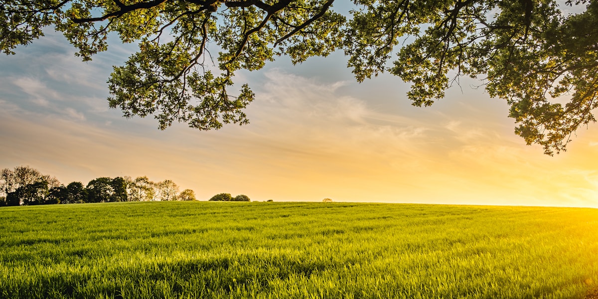 Person writing representing proposal preparation