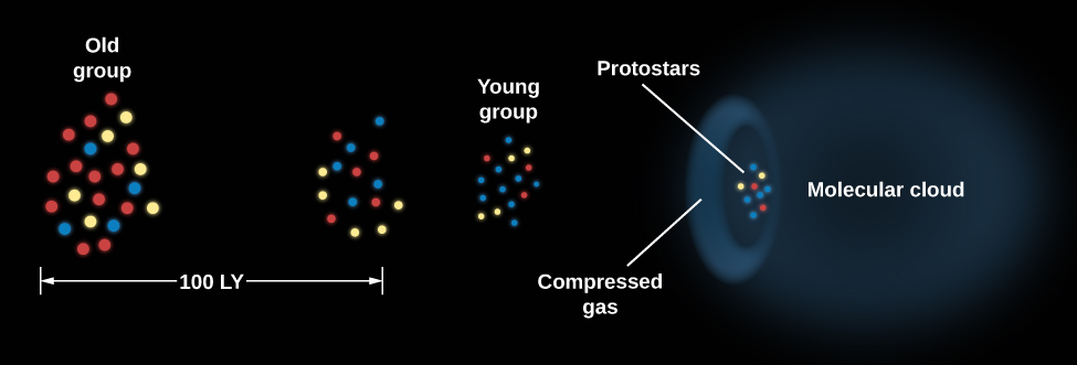 Diagram of Propagating Star Formation. At left are depicted two old groups of stars. Below these groups a distance scale of 100 light years is shown. At the center of the diagram is a smaller, tighter grouping of young stars. To the right of the young group is an arc of compressed gas and an even tighter grouping of protostars within the arc. On the extreme right of the diagram adjacent to the protostars, a dark molecular cloud is portrayed.