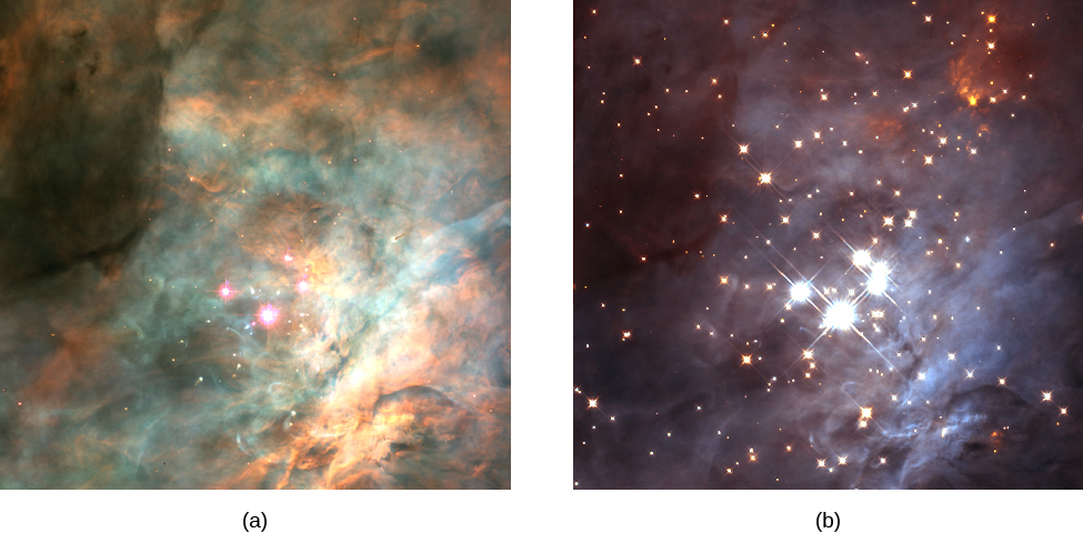 The Central Region of the Orion Nebula in visible and infrared light. Figure a, on the left, shows the Trapezium cluster of stars and the surrounding nebulosity. The four brightest stars of the Trapezium, plus a few others, are seen embedded in clouds of gas and dust. Figure b, on the right, shows the same field in infrared wavelengths. Many more stars are seen because infrared light penetrates the dust in the nebula.