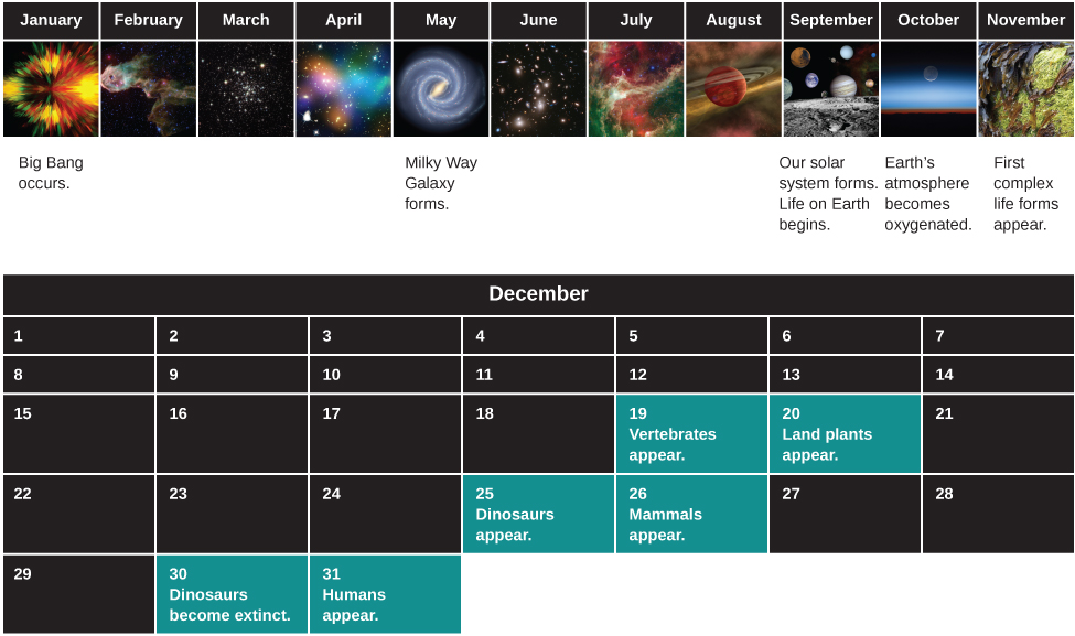 Diagram of the History of the Universe, compressed into a single year. The upper portion of the figure shows the calendar as one row from January to November. Events of special significance have been labeled. Starting at far left under January is labeled “Big Bang occurs”. Continuing to the right, May is labeled “Milky Way Galaxy forms”. Under September, “Our Solar System forms, Life on Earth Begins”. Under October, “Earth’s atmosphere becomes oxygenated”. Finally, under November is “First complex life forms appear”. The lower portion shows the entire month of December with significant events listed for certain dates. On December 19th “Vertebrates appear”. Next, “Land plants appear” on Dec. 20th. On December 25th “Dinosaurs appear”. “Mammals appear” on the 26th. On the 30th “Dinosaurs become extinct”, and “Humans appear” on December 31st.