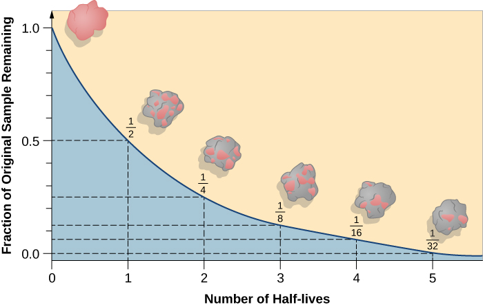 Graph Illustrating the Concept of Radioactive Decay. The vertical scale is labeled “Fraction of Original Sample Remaining”, and increases from 0 to 1.0 in increments of 0.1. The horizontal scale is labeled “Number of Half-lives”, and increases to the right from 0 to 5 in increments of 1. A curve is drawn from (0, 1.0) at upper left down to (5, 0) at lower right. A dashed line is drawn vertically upward from 1 to intersect the curve at 0.5 on the vertical scale. At this point on the curve 1/2 of the original material remains. Next, another dashed line is drawn vertically upward from 2 to intersect the curve at 0.25, where 1/4 of the original sample remains. Another dashed line is drawn upward from 3 to intersect the curve at 0.125, where 1/8 of the sample remains. Again, a dashed line is drawn upward from 4 to intersect the curve at 0.06, where 1/16 of the sample remains. Finally, the dashed line from 5 intersects the curve at 0.03, where 1/32 of the original sample remains. Above the curve are drawn six “blobs” of material, one for each data point. The blob is pink at the top of the curve representing the full radioactive sample. The blob at (1, 0.5) is about 1/2 pink and 1/2 grey representing the fact that 1/2 of the original sample remains. This illustration continues for the remaining data points so that by (5, 0.03) the blob is nearly all grey indicating that only 1/32 of the original sample remains.