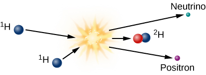 Diagram of the First Step in the Proton-Proton Chain. At left are shown two protons drawn in blue, and labeled as “1H”. An arrow is drawn from each proton toward the right and converge at an illustration of a small explosion. This explosion represents the release of energy and mass from the collision of the high energy protons. Three arrows are drawn moving away from the explosion toward the right. At the point of the topmost arrow is a neutrino drawn in light blue and labeled “Neutrino”. At the point of the central arrow is a deuterium nucleus drawn as a blue dot (proton) and a red dot (neutron) and labeled “2H”. At the point of the lower arrow is a positron drawn in purple and labeled “Positron”.