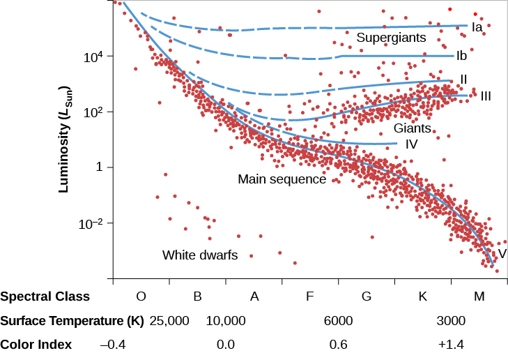 Luminosity Classes. In this graph the vertical axis is labeled “Luminosity (L_Sun),” running from 10^-4 to 10^6 in increments of 10^2. The horizontal axis is labeled “Spectral class,” and is divided into seven equal length units. From left to right they are labeled: “O,” “B,” “A,” “F,” “G,” “K,” and “M.” The horizontal axis is also labeled “Temperature (K),” running from 25,000 on the left to 3,000 on the right. Also labeled on the horizontal axis is “Color Index.” Four values are given, “-0.4” at the beginning of spectral class “O,” “0.0” at the beginning of spectral class “A,” “0.6” at the beginning of spectral class “G,” and “+1.4” at the beginning of spectral class “M.” The five main classes of stars are plotted. Beginning at lower left of the image is an isolated group of stars labeled “White Dwarfs.” The majority of stars lie on the “Main Sequence,” which runs diagonally from upper left to lower right. Running horizontally from the center of the graph to the right is the band of “Giants.” Finally, a small number of stars running horizontally across the top of the graph are the “Supergiants.” Blue curves are plotted indicating the luminosity classes. The first blue curve crosses the entire upper part of the plot at about 10^5 L_Sun and is labeled “Ia,” corresponding to the supergiants. Parallel to “Ia,” but lower at about 10^4 L_Sun, is the blue curve of “Ib,” a subdivision of the supergiants. The next horizontal blue curve at about 10^3 L_Sun is that of luminosity class “II,” corresponding to the bright giants. The next blue curve begins on the main sequence at about spectral type A and goes horizontally to the right at about 10^2 L_Sun. This curve is labeled “III” for the giants. Another blue curve is drawn between the giants and the main sequence. It is labeled as luminosity class “IV,” corresponding to the subgiants. Finally, the last blue curve traces the entire length of the main sequence and is labeled “V.”