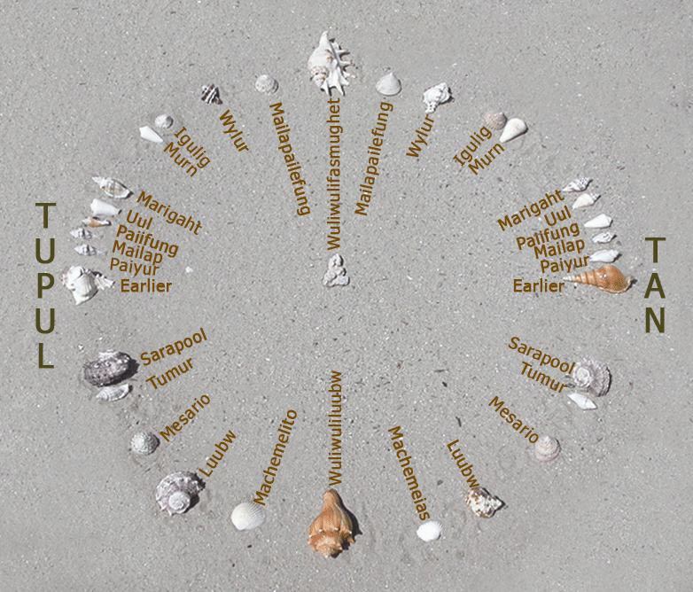 Shells and stones placed in a circle with text naming each shell as a star.