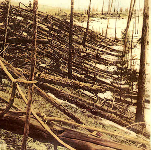 Photograph of the Aftermath of the Tunguska Explosion. Many hundreds of tress are seen pushed flat against the ground, all in the same direction.