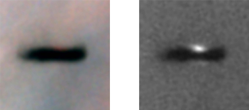 A figure of a protoplanetary disk in the Orion nebula. On the left is an image showing the disk edge-on, a dark narrow ellipse on a light background. On the right is an image with a light filter showing the disk edge-on, with a light half circle above and below the dark narrow ellipse on a grainy background.