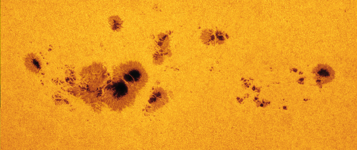 An image of a series of sunspots, dark blobs on the surface of the Sun.