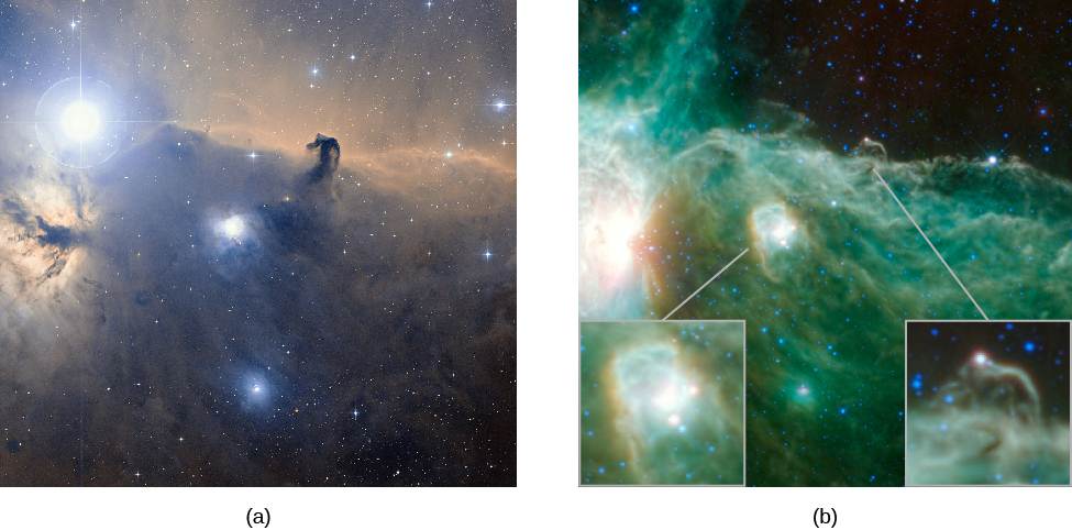 Visible and Infrared Images of the Horsehead Nebula in Orion. At left, (a) is a visible light image of the “horsehead”, with the very bright star Zeta Orionis at upper left. The horsehead shape is seen silhouetted against the bright red nebulous background in the upper half of the image. Fainter swirls of gas and dark dust are seen in the lower half. At right, (b) is an infrared image of the same region. The infrared image is a near reversal of the visible image. The bright star is barely seen. The horsehead is now a bright shape against a dark background, and the lower half of the image is bright with wisps and swirls of gas and a bright star forming nebula near the center. The insets in the infrared image show the horsehead and the bright nebula in more detail.