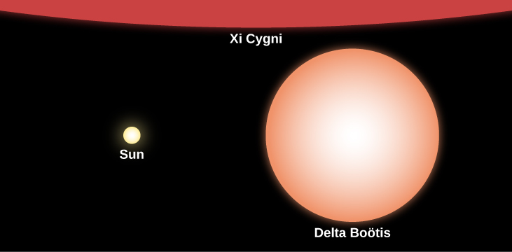 Relative Sizes of Stars Compared to the Sun. In this illustration the Sun is represented at center-left with a yellow disk labeled “Sun.” The giant star labeled “Delta Boötis” is drawn at right with an orange disk about 10 times the size of the Sun’s disk. At the top of this image, covering the entire upper portion of the figure, a small part of the supergiant labeled “Xi Cygni” is shown in red.