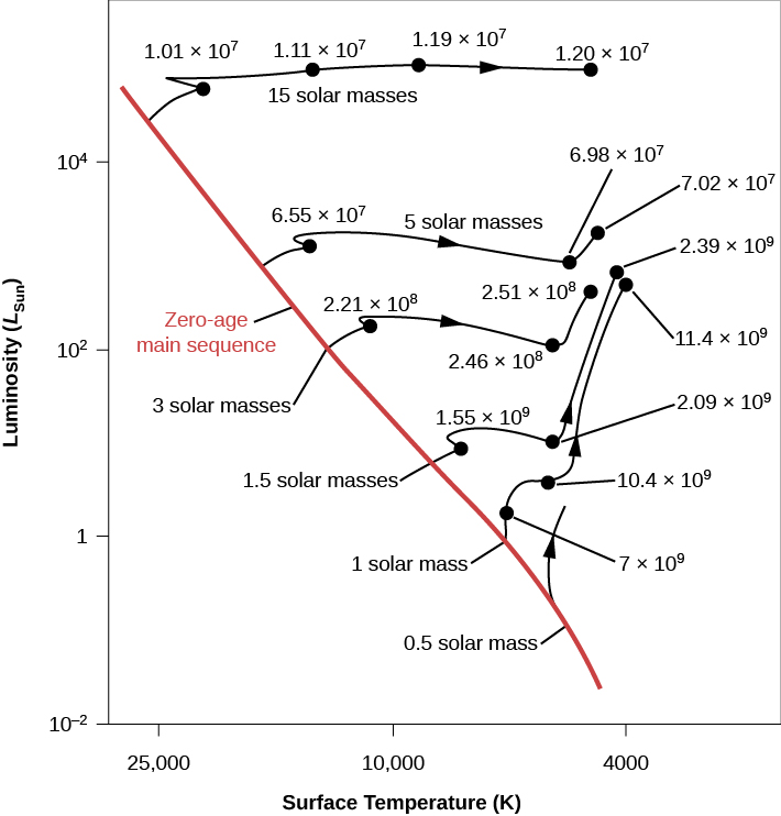 Evolutionary Tracks of Stars of Different Masses. In this plot the vertical axis is labeled “Luminosity (LSun)” and goes from 10-2 at the bottom to over 104 at the top. The horizontal axis is labeled “Surface Temperature (K)” and goes from 25,000 on the left to 4,000 on the right. The “Zero-age main sequence” is drawn as a diagonal red line beginning above L = 104 at the upper left of the image down to T ~ 4000 at the lower right. Six evolutionary tracks are drawn. Beginning at the top, a star of “15 solar masses” is plotted. It leaves the main sequence above L ~ 104 and T ~ 25,000. The track moves rightward across the top of the plot. The star maintains a relatively constant luminosity, but its surface temperature decreases with time. At “1.01 × 107” years its temperature is about 20,000 K. At “1.11 × 107” years it has fallen to about 15,000 K. At “1.19 × 107” years T is about 9000 K, and the track ends at “1.2 × 107” years near 4000 K. Next, a star of “5 solar masses” is plotted beginning near L ~ 103, where it leaves the main sequence. The star maintains a relatively constant luminosity, but its surface temperature decreases with time. At “6.55 × 107” years its temperature is about 12,000 K. but its surface temperature decreases with time. At “2.39 × 107” years it has fallen to about 5000 K. Then the luminosity rises slightly to the final plotted point at “7.02 × 107” years near 4000 K. Next, a star of “3 solar masses” leaves the main sequence near L = 102 and 15,000 K. After “2.21 × 108” years its temperature has fallen to near 11,000 K. After “2.46 × 108” years its temperature has dropped to near 6000 K. Then, its luminosity increases by about a factor of ten where its curve ends at “2.51 × 107” years and 5000 K. Next, a star of “1.5 solar masses” leaves the main sequence near L = 30 and 9000 K. After “1.55 × 109” years its temperature has fallen to near 7500 K. After “2.09 × 109” years, its temperature has dropped to near 5000 K. Then, its luminosity increases by about a factor of one hundred where its curve ends at “2.39 × 109” years and 4000 K. Next, a star of “1 solar mass” leaves the main sequence at L = 1 and 5700 K. After “7 × 109” years its temperature is nearly the same, but its luminosity has increased slightly. After “10.4 × 109” years, its temperature has dropped to near 5000 K, and its luminosity has increased about 20 times. Then, its luminosity steadily increases to where its curve ends at “11.4 × 109” years, L ~ 103 and T ~ 4000 K. Finally, a “0.5 solar mass” star is partially plotted. Its curve begins at L ~ 10-1 near T ~ 5000. Its curve is a short arrow pointing upward as its evolutionary timescale is too great for this diagram.