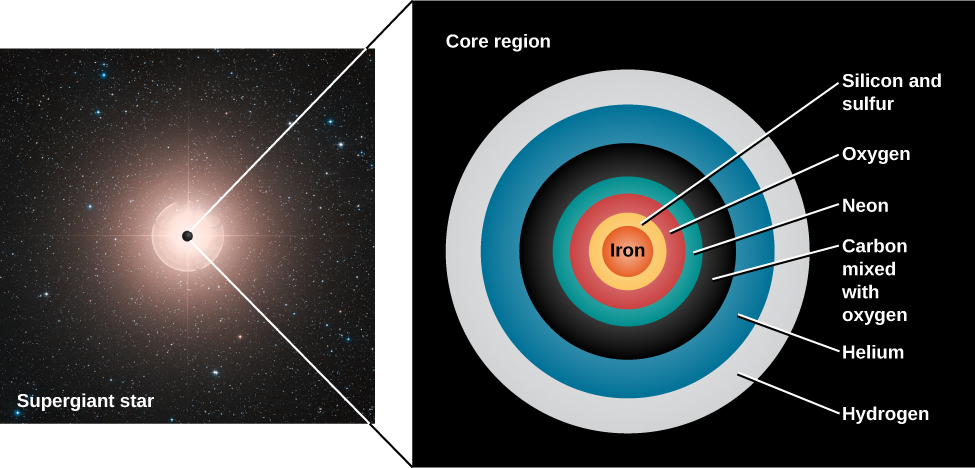 Illustration of the Structure of an Old Massive Star. At left is an image of a star labeled “Supergiant star”, with a black dot drawn at the center of the star and expaned into the panel at right labeled “Core region”. The “Core region” shows a cross section of the interior of the supergiant star. Beginning at the center is the “Iron” core in red. Next is a yellow shell of “Silicon and sulfur”, then an “Oxygen” shell in red, “Neon” in blue-green, “Carbon mixed with oxygen” in black, followed by “Helium” in blue and finally “Hydrogen” in white.