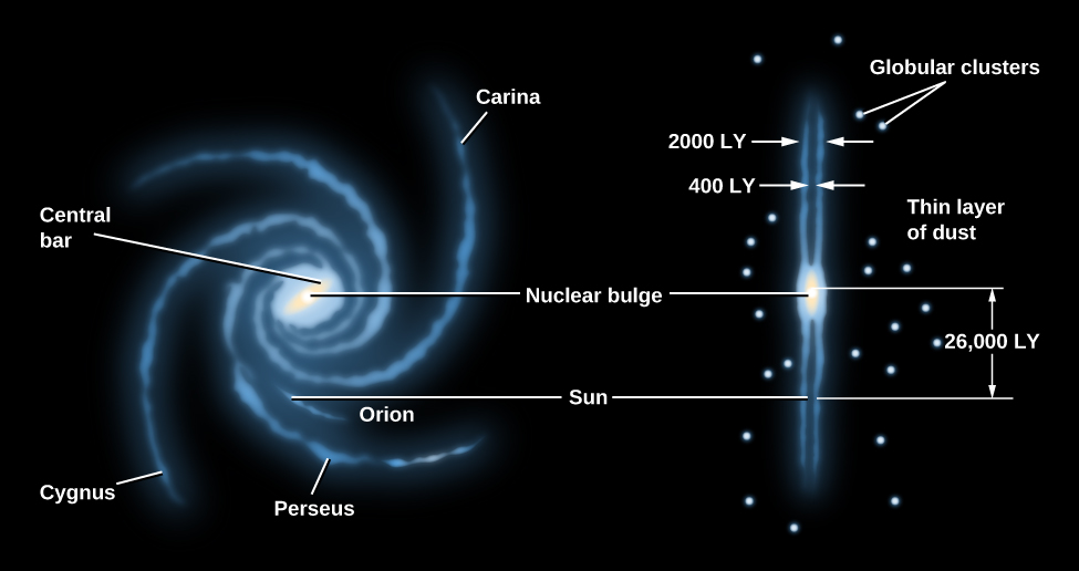 A schematic representation of the Milky Way Galaxy. On the left is the face-on view of the spiral disk, with the central bar in the center, the Cygnus spiral arm on the lower left, the Perseus arm labeled on the bottom, the smaller Orion spur labeled above that, and the Carina arm labeled on the right. On the right of the schematic is the edge-on view of the spiral disk, surrounded by serval globular clusters. The nuclear bulge is labeled in the center of both views, and the Sun is labeled on the Orion spur. The distance between the Sun and the nuclear bulge is labeled 26,000 light years.