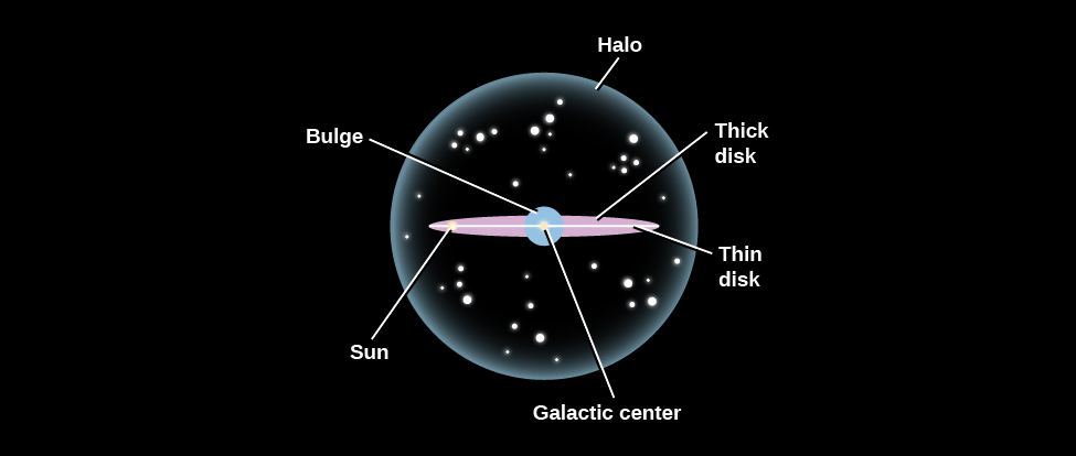 Schematic of the Milky Way. Our galaxy is seen edge-on in this illustration, with the major components labeled. At the center of the diagram is the “Galactic center” indicated with a white dot located in the middle of a white horizontal line labeled “Thin disk”. The Sun is about 2/3 of the way from the center to the left edge of the thin disk and indicated with a white dot. The “Thick disk” is shown in pink above and below the thin disk. The “Bulge” surrounds the galactic center and the “Halo”, drawn as a semi-transparent sphere, surrounds nearly the entire galaxy.