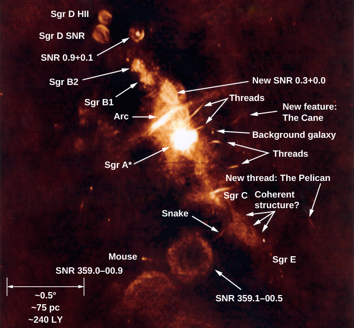 Radio Image of Galactic Center Region. Many features are identified in this complex radio image. The scale at lower left (defined by a double headed horizontal arrow) reads: “~0.5O ~75 pc ~240 LY”. The objects listed, from upper left to lower right, are: “Sgr D HII”, “Sgr D SNR”, “SNR 0.9+0.1”, “Sgr B2”, “Sgr B1”, “New SNR 0.3+0.0”, “Arc”, “Threads”, “Sgr A*”, “New feature: The Cane”, “Background Galaxy”, “Threads”, “New thread: The Pelican”, “Sgr C”, “Coherent structure?”, “Snake” and “Sgr E”. Below center, three more features are labeled (from top to bottom): “SNR 359.1-00.5”, “Mouse” and “SNR 359.0=00.9”.