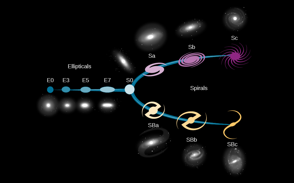 Hubble Classification of Galaxies. Sometimes referred to as the “tuning fork diagram”, this figure illustrates Hubble’s classification of galaxies. From left to right are the “Ellipticals”, beginning with the spherical E0, slightly oval E3, flatter oval E5 to the very elongated oval E7. Below each illustrated type is an image of a galaxy of that type. At center is the more circular S0, from which the line splits into two parts (hence the tuning fork reference) and labeled “Spirals”. Above are the regular spirals. From left to right beginning with the short armed Sa, longer armed Sb and the open, multiple armed Sc. Above each illustrated type is an image of a galaxy of that type. Below are the barred spirals. From left to right beginning with the short bar SBa, longer bar SBb and the open, long bar SBc. Below each illustrated type is an image of a galaxy of that type.