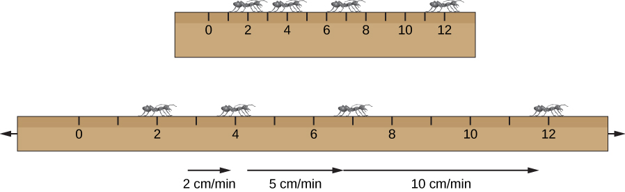 Stretching a Ruler. In this illustration, the ruler at top is normal sized, and has ants drawn at 2, 4, 7 and 12 cm. The same ruler is drawn below, but stretched to twice its length. The ants are still at their positions as above, but the ant at 2 cm sees the ant at 4 cm move away at 2 cm/min, the ant at 7 cm move away at 5 cm/min and the ant at 12 cm move away at 10 cm/min.