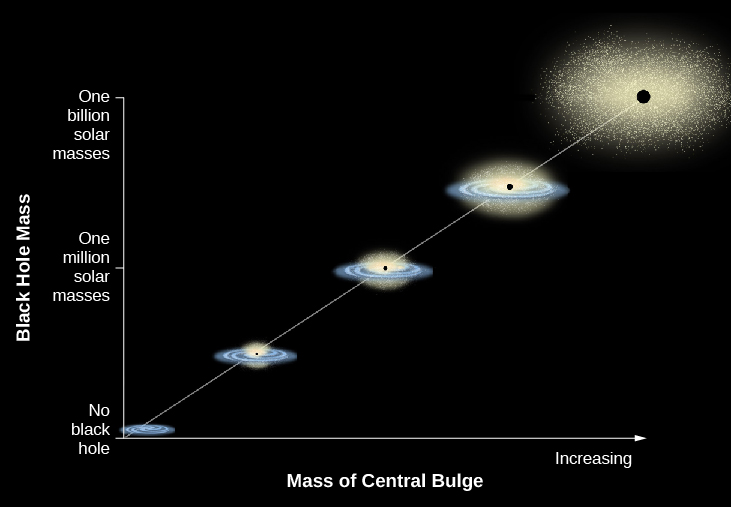 In this plot the vertical axis is labeled “Black Hole Mass”. The scale goes from “No black hole” at bottom, “One million solar masses” in the middle and “One billion solar masses” at top. The horizontal axis is labeled: “Mass of Central Bulge”. The scale is arbitrary, with an arrow pointing to the right labeled “Increasing”. A straight white line is drawn from lower left to upper right with illustrations of galaxies along its length. At bottom left is a small spiral galaxy. Moving upward along the line, the galaxies increase in size as do the black dots at the center of each representing black holes. The final image at upper right is a very large elliptical with a very large black hole.
