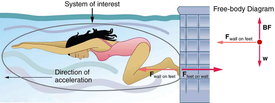 A simmer in a pool pushes off against a wall. The forces of her feet against the wall and the wall against her feet are shown.