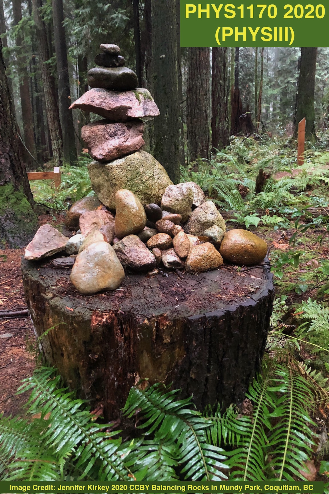 phys1170-douglas-college-2022-physiii-bc-simple-book-publishing