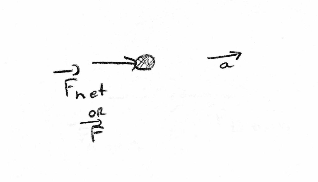 A single vector is drawn touching a circle with the equation F=ma.
