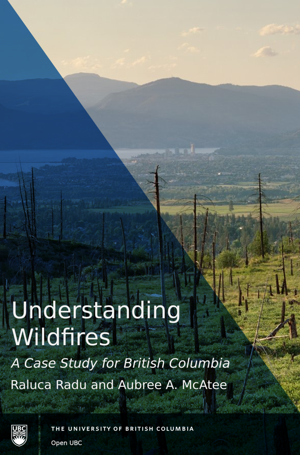 Cover image for Understanding Wildfires