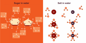 Figure 11. Dissolution of A. sucrose and B. salt in water