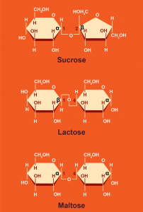 Figure 16: Chemical structures of sucrose, maltose, and lactose.