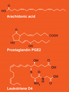 Figure 25. Chemical structures of arachidonic acid (an eicosanoid) + leukotriene D4.