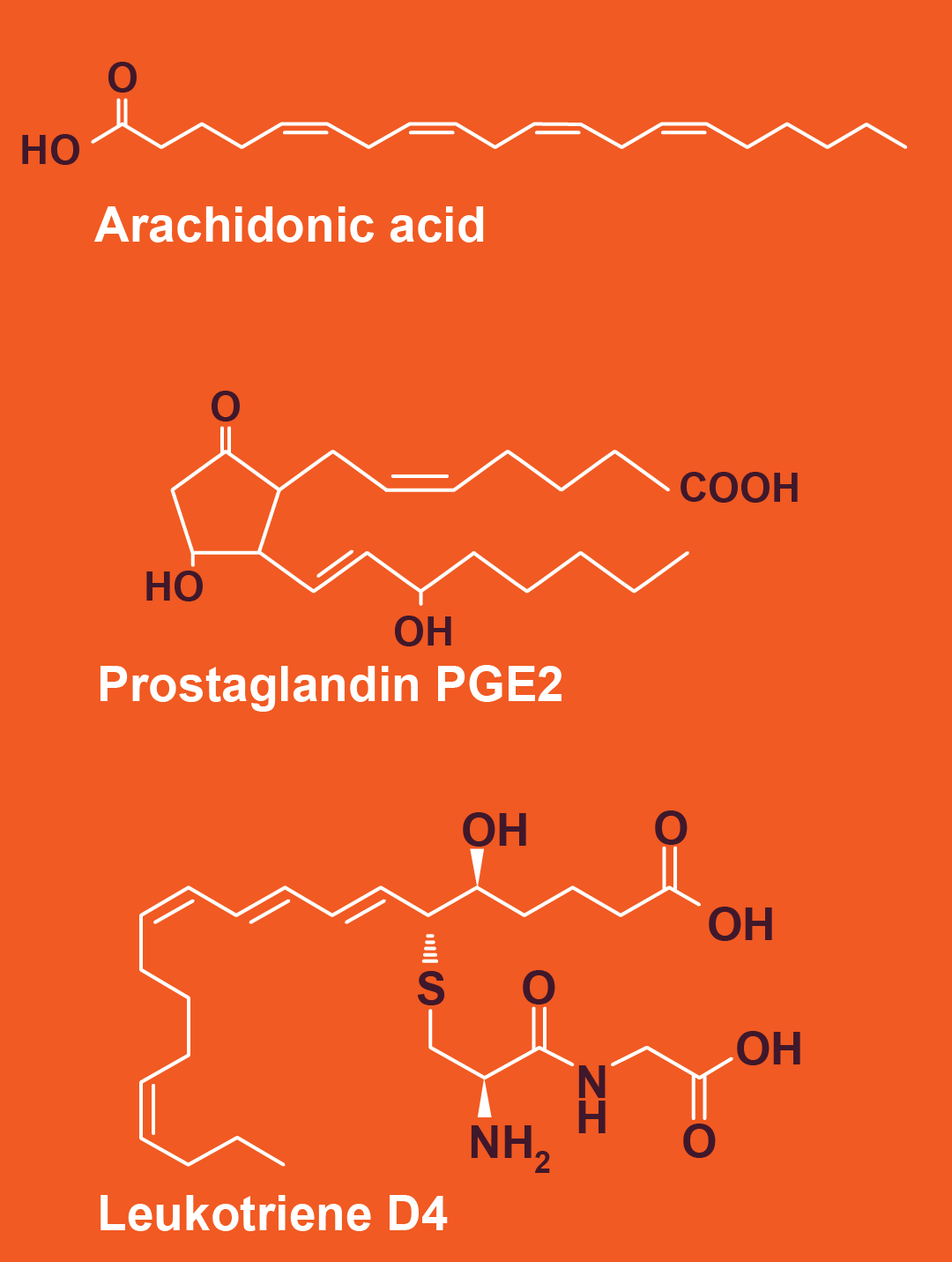 Lipids – Chemistry For Biology 1190 Students