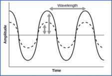 17.4 Hearing and Vestibular Sensation – Concepts of Biology – H5P