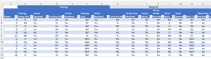 screen grab of an Excel sheet