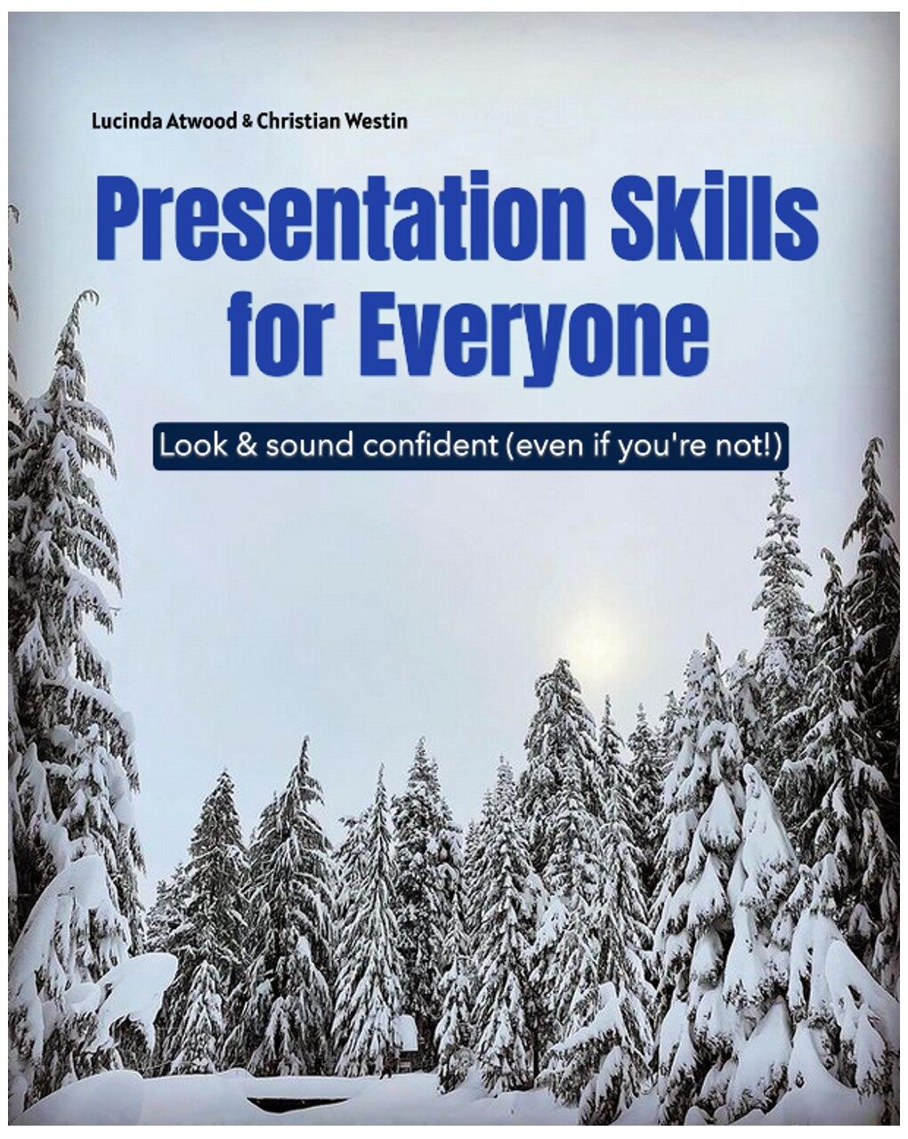 Cover image for Presentation Skills for Everyone