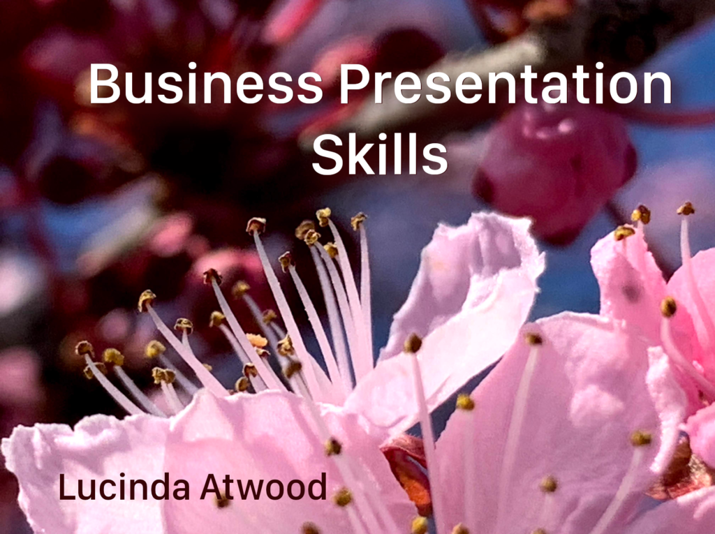 presentation skills book