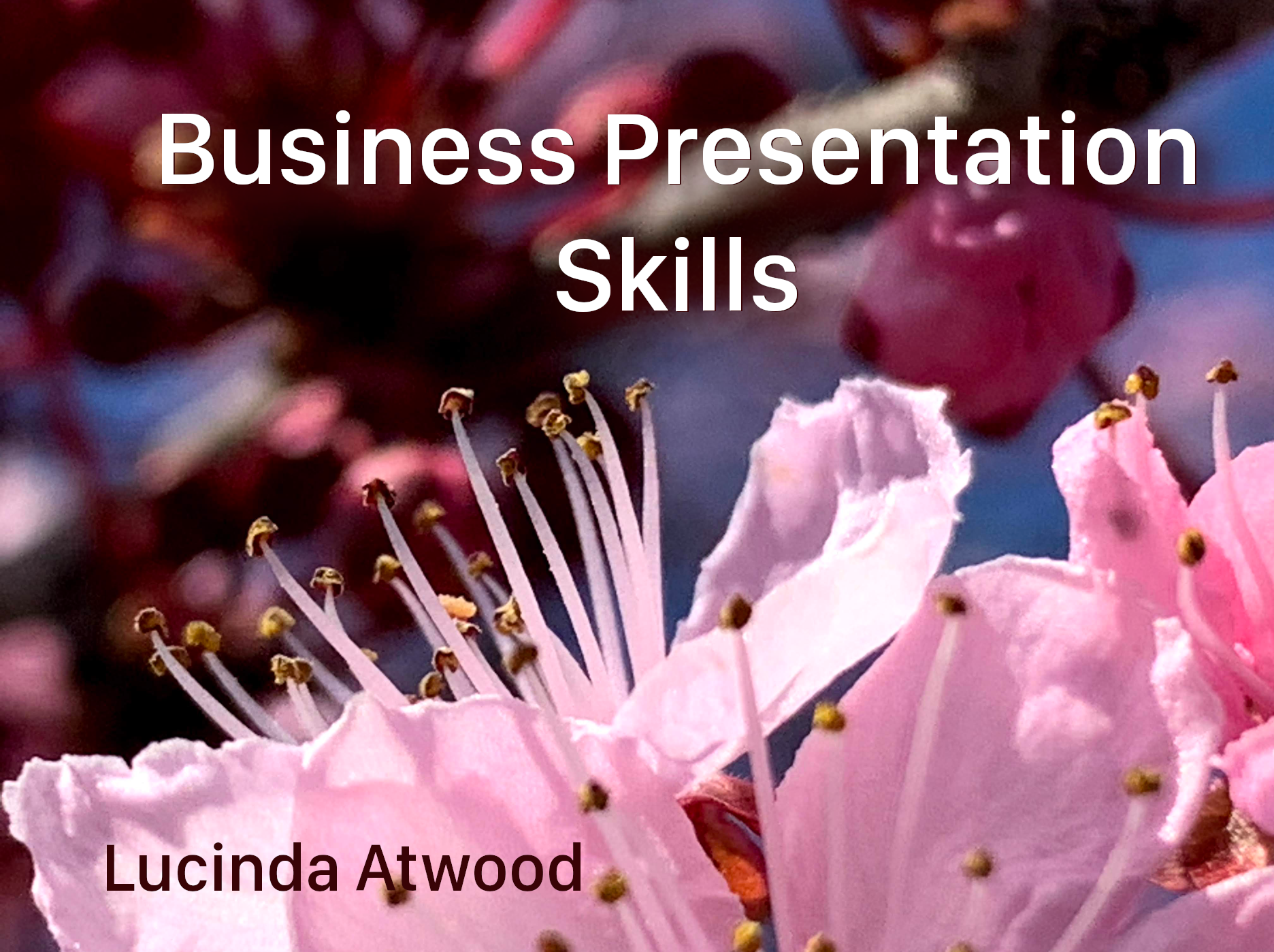 Cover image for Business Presentation Skills 2020