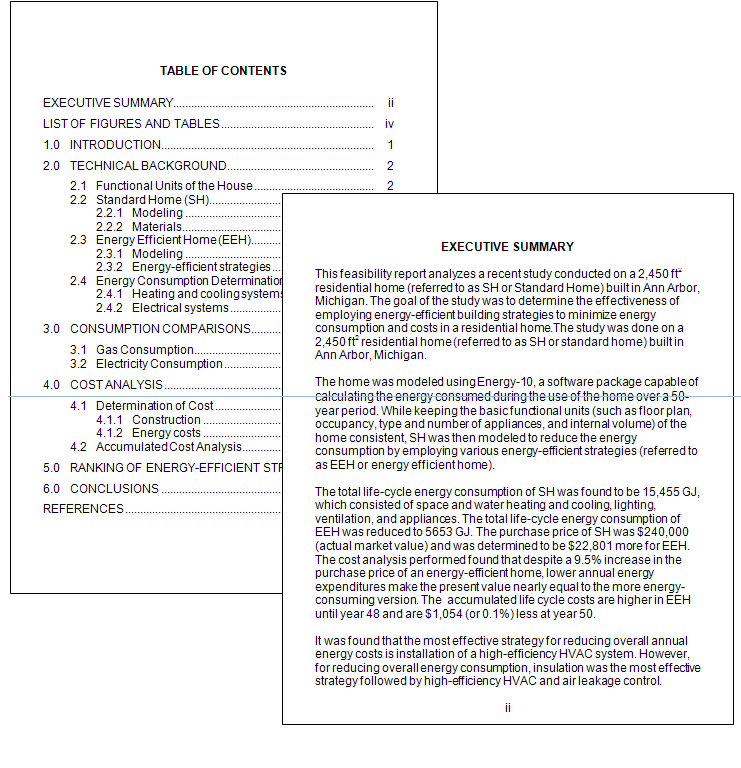 Figure 13.2- Table of Contents and Executive Summary (Source- David McMurray)